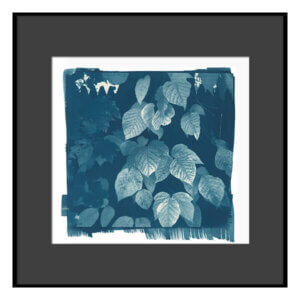 Cyanotype photography -Autume "Coffee toning"