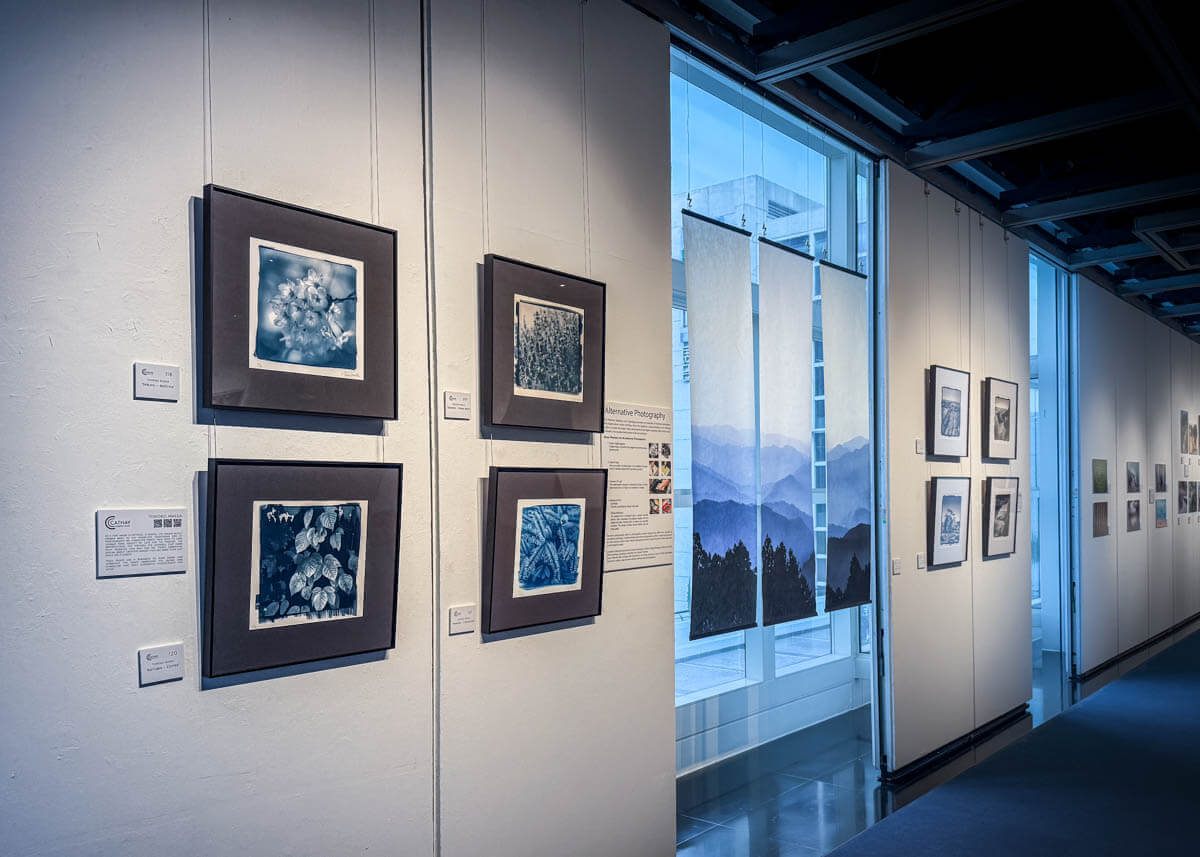 Platinum Prints Cyanotype prints exhibition