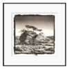 Platinum Palladium -Islands of God