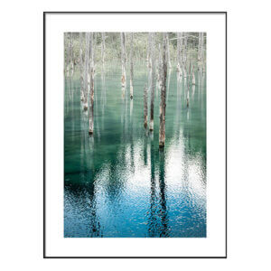 Archival Pigment Print_Blue and Silence