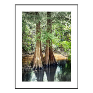 Archival Pigment Print_Silent Companions