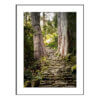 Archival Pigment Print_Steps of Time