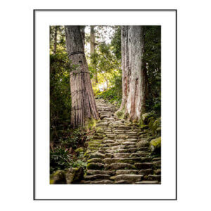 Archival Pigment Print_Steps of Time