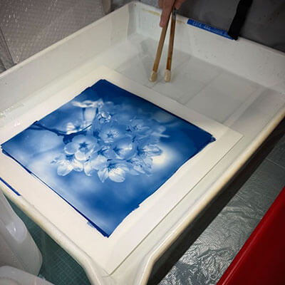 Develop Cyanotype